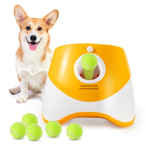 Galatée Automatischer Ballwerfer - Kleiner Interaktiver Ball-Launcher für Hunde Mit 6 Mini-Tennisbällen (Orange) von Galatée