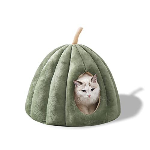 Galatée Haustierhöhlenbett, Katzennest Mit Abnehmbarem, Waschbarem Innenkissen, Weiches Bett Für Kätzchen Und Kleine Haustiere, Superweiches Und Gemütliches Plüschkatzen-Iglu-Höhlenbett(M, Grün Galatée Haustierhöhlenbett, Katzennest Mit Abnehmbarem, Waschbarem Innenkissen, Weiches Bett Für Kätzchen Und Kleine Haustiere, Superweiches Und Gemütliches Plüschkatzen-Iglu-Höhlenbett(M, Grün von Galatée