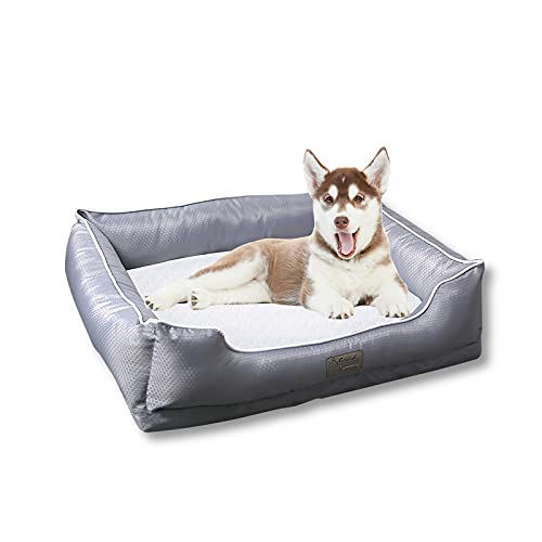 Galatée Hundebett, Hochelastischer Schwamm, Warmes, Weiches, Bequemes Katzenbett, Mit Abnehmbarem, Waschbarem Reißverschlussbezug, Wasserdichtem Und Antifouling-Haustierbett(70 * 54 * 19 cm Galatée Hundebett, Hochelastischer Schwamm, Warmes, Weiches, Bequemes Katzenbett, Mit Abnehmbarem, Waschbarem Reißverschlussbezug, Wasserdichtem Und Antifouling-Haustierbett(70 * 54 * 19 cm von Galatée