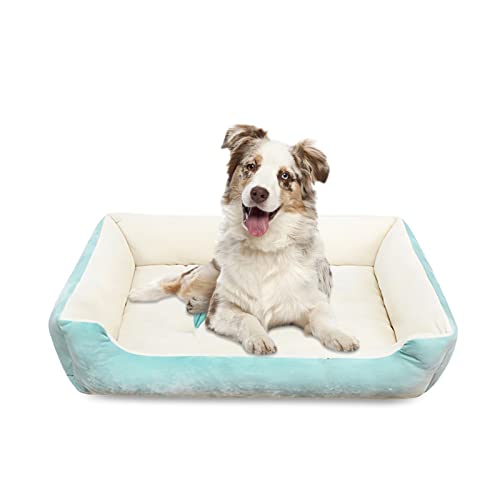 Galatée Hundebett, Hochwertiges PP-Baumwoll-Hundebettsofa, Warmes, Weiches, Bequemes Haustiersofa, Katzenbett Mit Rutschfester Unterseite, Waschbares Haustierbett(XL, Hellblau) von Galatée