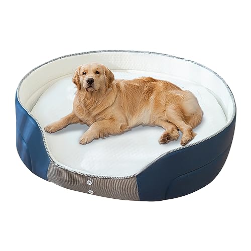 Galatée Hundebett, Hundeschlafsofa Mit Zusätzlicher Kopf- Und Nackenstütze, Weiches Und Bequemes Katzenbett, Hundematte Für Guten Halt, Haustierbett Für Kleine Mittelgroße Hunde(M, Blaue Nähte) von Galatée