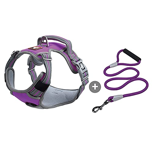 Galatée Hundegeschirr, Kein Zug Verstellbares Reflektierendes Geschirr, Mit Zugseil Und Einfachem Steuergriff, Weiches Nylon Für Kleine Große Haustiere(XL, Violett Galatée Hundegeschirr, Kein Zug Verstellbares Reflektierendes Geschirr, Mit Zugseil Und Einfachem Steuergriff, Weiches Nylon Für Kleine Große Haustiere(XL, Violett von Galatée