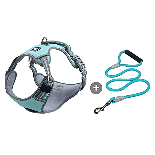 Galatée Hundegeschirr, Kein Zug Verstellbares Reflektierendes Geschirr, Mit Zugseil Und Einfachem Steuergriff, Weiches Nylon Für Kleine Große Haustiere(XS, Blau Galatée Hundegeschirr, Kein Zug Verstellbares Reflektierendes Geschirr, Mit Zugseil Und Einfachem Steuergriff, Weiches Nylon Für Kleine Große Haustiere(XS, Blau von Galatée