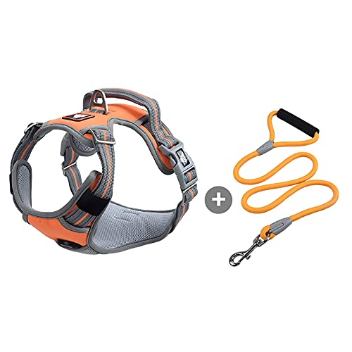 Galatée Hundegeschirr, Kein Zug Verstellbares Reflektierendes Geschirr, Mit Zugseil Und Einfachem Steuergriff, Weiches Nylon Für Kleine Große Haustiere(XL, Orange Galatée Hundegeschirr, Kein Zug Verstellbares Reflektierendes Geschirr, Mit Zugseil Und Einfachem Steuergriff, Weiches Nylon Für Kleine Große Haustiere(XL, Orange von Galatée