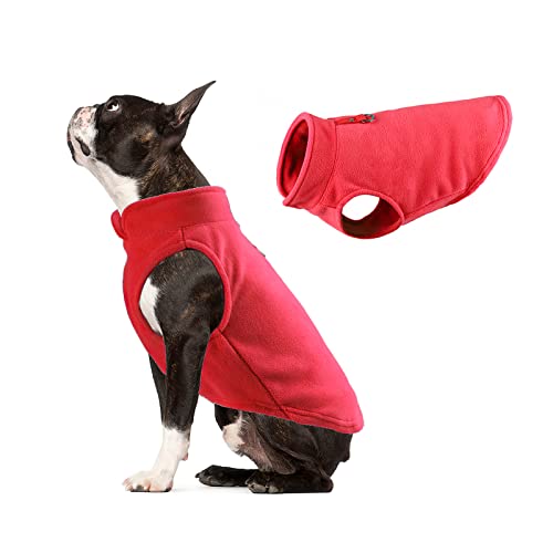 Galatée Hundemantel, Winddichter Schneeanzug Hundebekleidung, Hund Winter Warme Jacke Mit Geschirr Loch, Winter Warme Hundeweste, Haustier Kleidung Outfit Weste(L, Rot) von Galatée