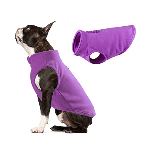 Galatée Hundemantel, Winddichter Schneeanzug Hundebekleidung, Hund Winter Warme Jacke Mit Geschirr Loch, Winter Warme Hundeweste, Haustier Kleidung Outfit Weste(L, Violett) von Galatée