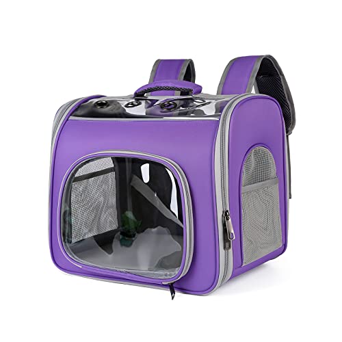 Galatée Katzenrucksack, Atmungsaktiver Haustierrucksack Mit Frontöffnung, Faltbare Rucksacktasche, Atmungsaktives Netzfenster, Hunderucksack Zum Wandern, Spazierengehen, Reisen(Lila) von Galatée