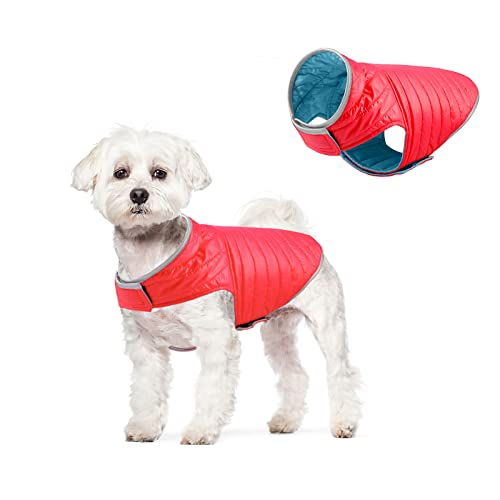 Galatée Wasserdichter Hundemantel, Wendbarer Hundemantel Mit Geschirrloch, wasserdichte Winterjacke Warme Weste Für Kleine Mittelgroße Hunde(XS, Rot Blau) von Galatée