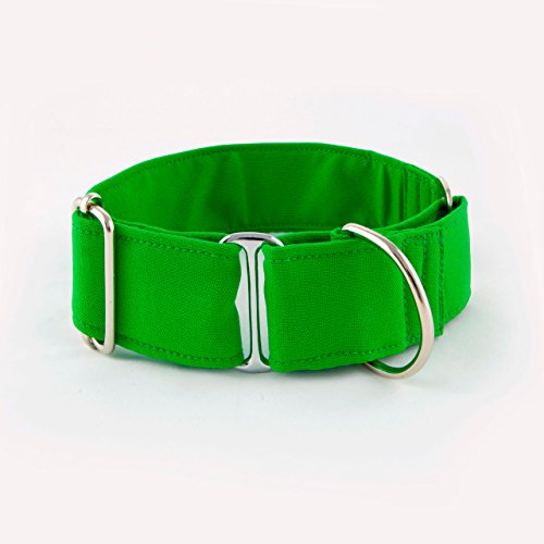 Galguita Amelie Hundehalsband gegen Auslaufen, Grün, 4S von Galguita Amelie