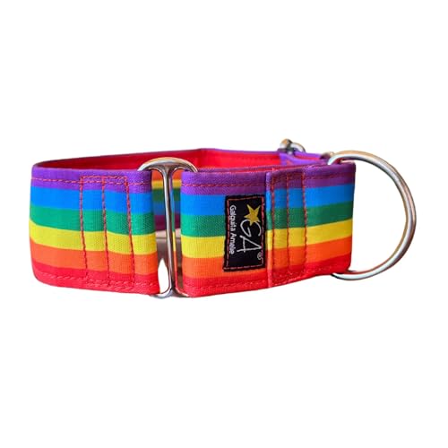 Galguita Amelie 0634438563914 Halsband für Hunde Rainbow, M von Galguita Amelie