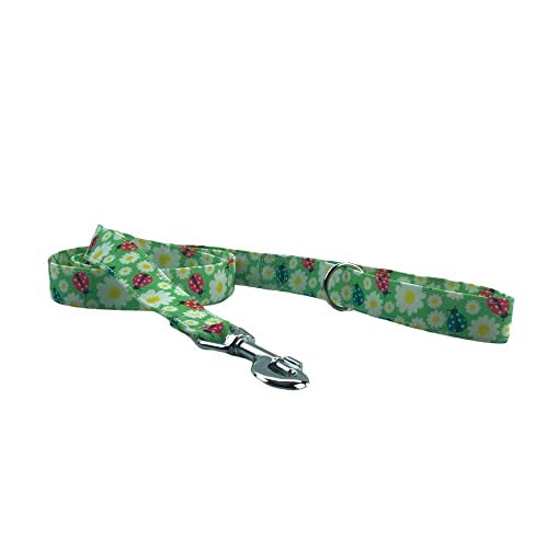 Galguita Amelie Ladybug Hundeleine, 2,5 cm breit x 1,20 cm lang Galguita Amelie Ladybug Hundeleine, 2,5 cm breit x 1,20 cm lang von Galguita Amelie