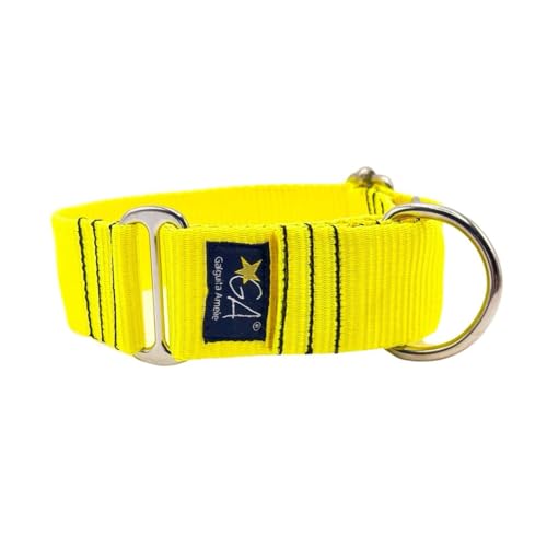 Galguita Amelie Martingale Halsband, hautfarben, Neongelb, 4 l Galguita Amelie Martingale Halsband, hautfarben, Neongelb, 4 l von Galguita Amelie