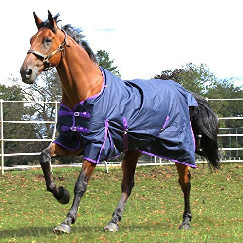 Gallop Pferde-Outdoordecke Keine Füllung 0g Kein Hals, EU 135cm von Gallop