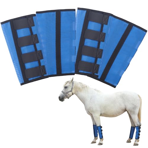 Fliegenstiefel 4er Set, Fliegengamaschen für Pferde Kein Stampfen mehr, PVC Mesh Atmungsaktiv & Reißfeste Beinschützer, Königsblau, Klein Fliegenstiefel 4er Set, Fliegengamaschen für Pferde Kein Stampfen mehr, PVC Mesh Atmungsaktiv & Reißfeste Beinschützer, Königsblau, Klein von Gallopoff