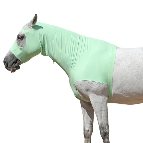 Pferde-Stretchhaube mit Reißverschluss, Vollgesichts- & Halsabdeckung für süßen Juckreiz Schutz - Mähnenschutz & Fliegenschutz PaleGreen Small von Gallopoff