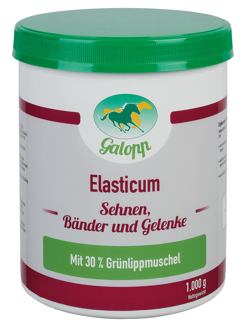 Galopp Elasticum 1 kg Für Sehnen, Bänder und Gelenke von Galopp