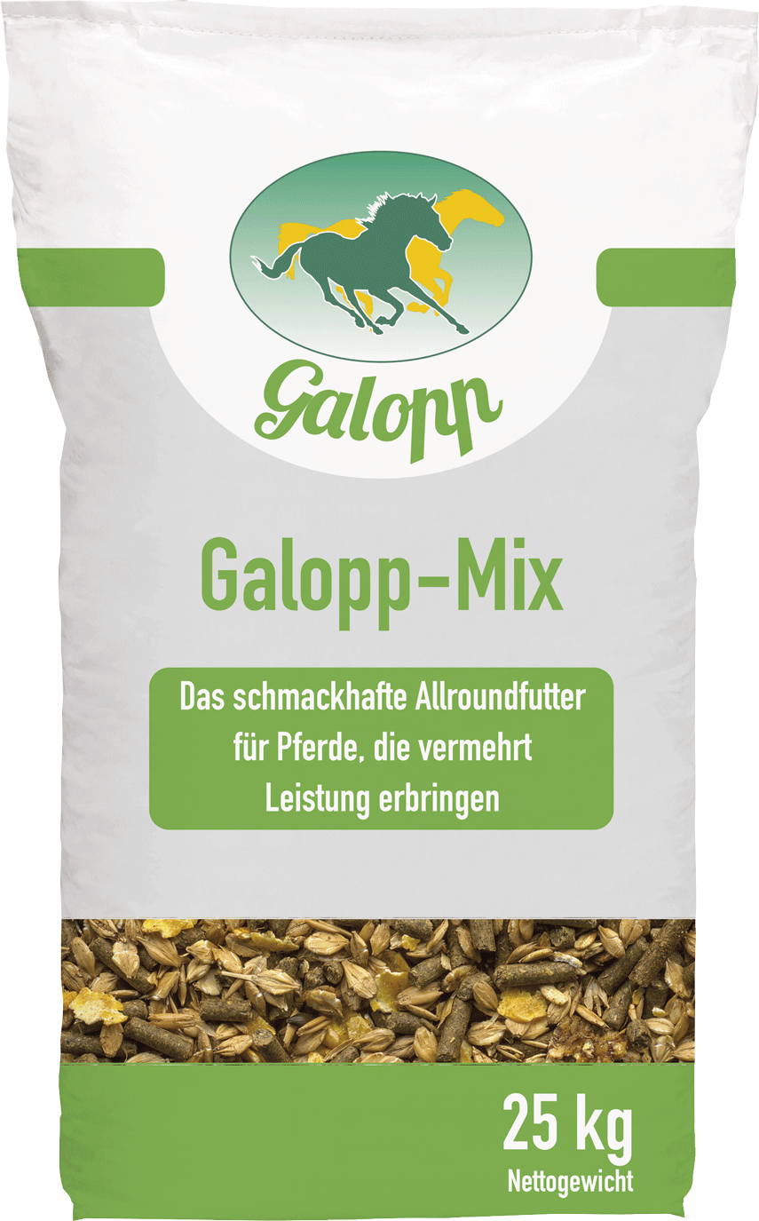 Galopp Mix 25 kg Müsli mit Hafer von Galopp