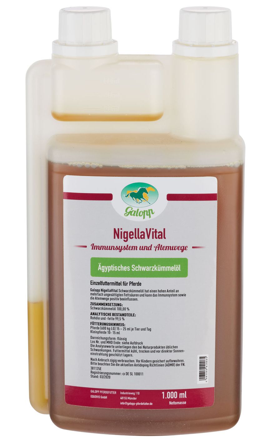 Galopp NigellaVital-Öl 1 l Ägyptisches Schwarzkümmelöl von Galopp