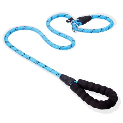 Hundeleine, mittel und klein, geeignet für Training, Laufen und Walken, verschleißfeste Nylon-Hundeleine, mit gepolstertem Griff,Blau von GangKun