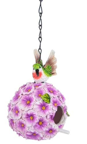 Schönes dekoratives Kolibri-Vogelhaus ~ Heimdekoration Schönes dekoratives Kolibri-Vogelhaus ~ Heimdekoration von Ganz
