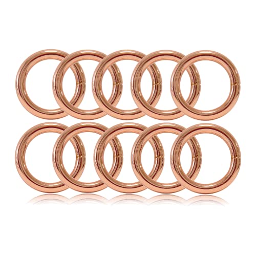 O - Ring aus Stahl 25mm, 10er Set, DIY Hunde-Leine/Hunde-Halsband, nichtrostend, Ideal mit Paracord 550, geschweißt, Farbe: roségold von Ganzoo