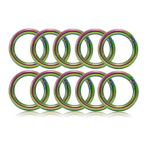 O - Ring aus Stahl 20mm, 10er Set, DIY Hunde-Leine/Hunde-Halsband, nichtrostend, Ideal mit Paracord 550, geschweißt, Farbe: Regenbogen/Rainbow von Ganzoo