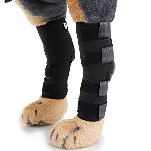 Hunde-Sprunggelenkbandage schützt die hinteren Beinstützen, heilt und verhindert Verletzungen und Verstauchungen, hilft bei Verlust der Stabilität, verursacht durch Arthritis, 1 Paar (M, schwarz) von Gaorui