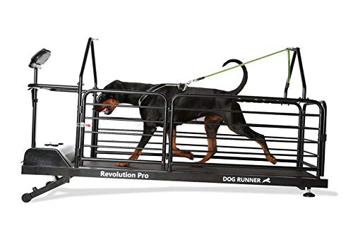 Gappay Dogrunner Revolution Pro Gappay Dogrunner Revolution Pro von Gappay