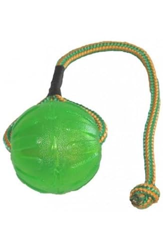 Starmark Ball aus Silikon, mittelgroß, 9 cm, mit rundem Seil STA 16 cm, für Hundetrainer von Gappay