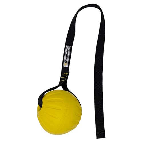 Starmark STA22-CP Ball mittelgroß, 9 cm, mit flachem Seil aus Durafoam, für Hundetrainer von Gappay