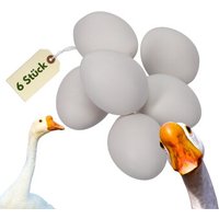 GarPet 6x Legeeier Kunsteier Nesteier für Gänse GarPet 6x Legeeier Kunsteier Nesteier für Gänse von GarPet