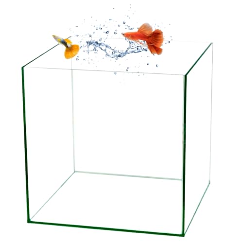 GarPet Würfel Aquarium 30x30x30 35x35x35 40x40x40 Becken Glasbecken 30 35 40 (30x30x30 cm) von GarPet