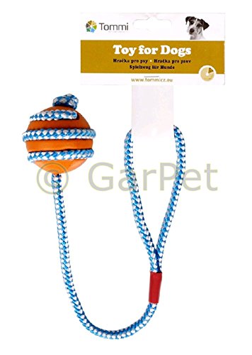 Hundespielzeug Gummi Ball Seil Wurfball robustes haltbares Hunde Zerr Spielzeug von GarPet