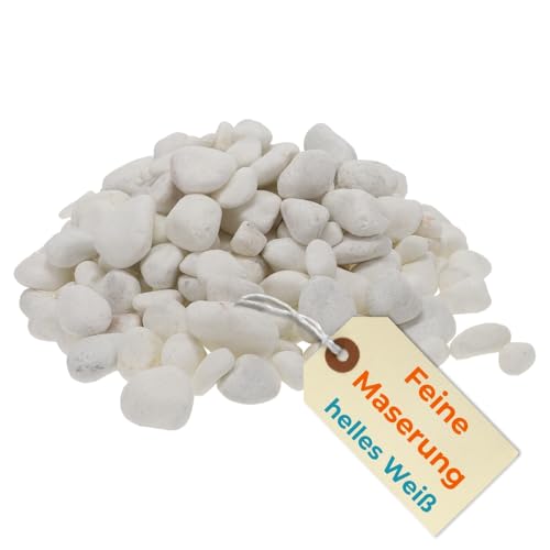 Kieselsteine Garten Zierkies Weiß 25 kg Aquarium Kies Carrara Marmorkies Dekostein Weiße Kieselsteine Zierstein Marmor Kies Weiß (15-25 mm) von GarPet