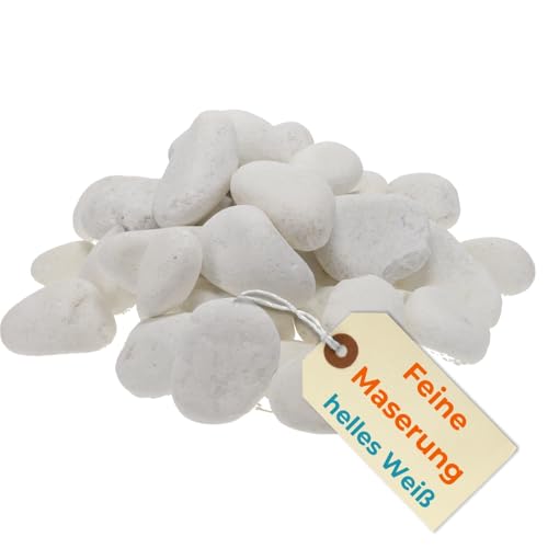 Kieselsteine Garten Zierkies Weiß 25 kg Aquarium Kies Carrara Marmorkies Dekostein Weiße Kieselsteine Zierstein Marmor Kies Weiß (40-60 mm) von GarPet