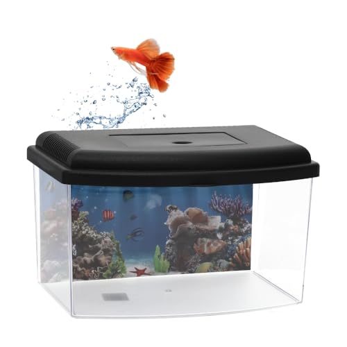 GarPet Mini Aquarium Terrarium Faunarium Zucht Becken klein Fisch Triops Garnelen Acryl Kunststoff Plastik mit Deckel Rückwandfolie von GarPet