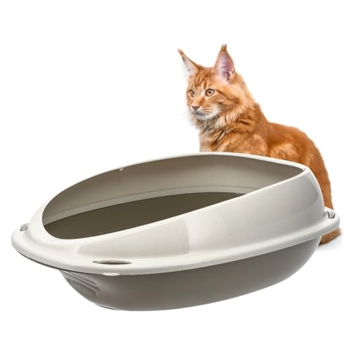 GarPet Katzenklo ohne Deckel 57x40x19 cm Katzentoilette mit Rand Katzen WC Schalentoilette grau oval hygenisch von GarPet