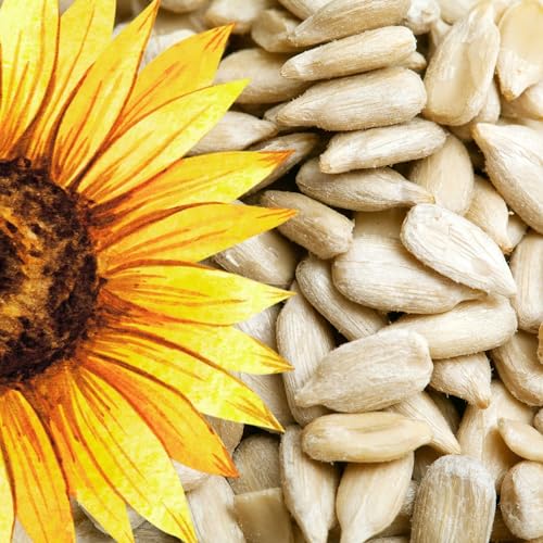 Sonnenblumenkerne: Hochwertiges Vogelfutter für Wildvögel - 10kg Geschält & Schalenfrei - Ideales Ganzjahresfutter für Gartenbrunch - Natürliche Anziehung für Wildvögel und Tiere Sonnenblumenkerne: Hochwertiges Vogelfutter für Wildvögel - 10kg Geschält & Schalenfrei - Ideales Ganzjahresfutter für Gartenbrunch - Natürliche Anziehung für Wildvögel und Tiere von Garden Brunch