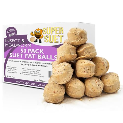 50 Super Talg Premium Meisenknödel Ultra High Energy Talg Insekten & Mehlwürmer Spezialmischung Vogelfutter ideal für alle Gartenvögel Futter 50 Super Talg Premium Meisenknödel Ultra High Energy Talg Insekten & Mehlwürmer Spezialmischung Vogelfutter ideal für alle Gartenvögel Futter von GardenCo