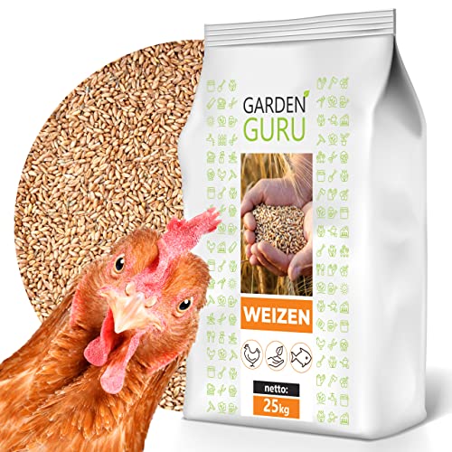 GardenGuru Weizen Futter 25kg Huhnerfutter Nagerfutter, Kaninchenfutter Weizenkörner Getreide Korn Essen Wildvögel Kaninchenfutter von GardenGuru
