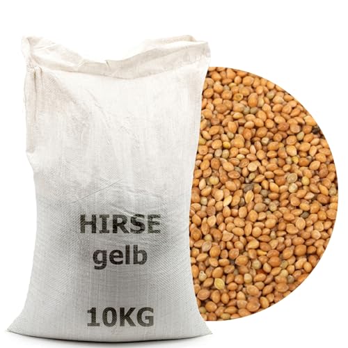 GardenGuru Hirsefutter für Vögel, Hühner, Fische, Wildtiere, Viehbestand - 10 kg von GardenGuru