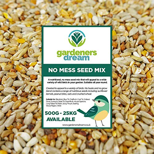 GärtnersTraum No Mess Saatgut-Mischung - Premium-Qualität schalenfreies Wildvogelfutter GärtnersTraum No Mess Saatgut-Mischung - Premium-Qualität schalenfreies Wildvogelfutter von GardenersDream