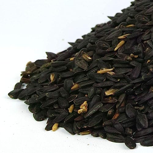 GardenersDream Beschäftigte Schnäbel Schwarze Sonnenblumenkerne - Ölreiches Futter für Wilde Gartenvögel (500g) von GardenersDream