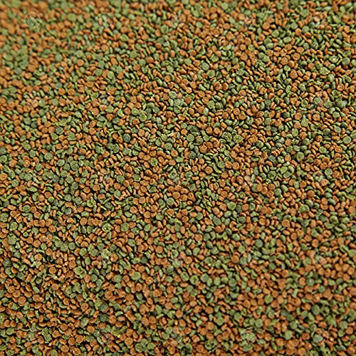 GardenersDream Premium Discus Granulat Komplettes Aquarium Tropisches Fischfutter von GardenersDream
