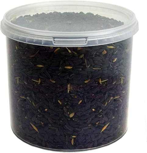 GardenersDream Schwarze Sonnenblumensamen - Ölreiche Nahrung für Wilde Gartenvögel (2.5L) von GardenersDream