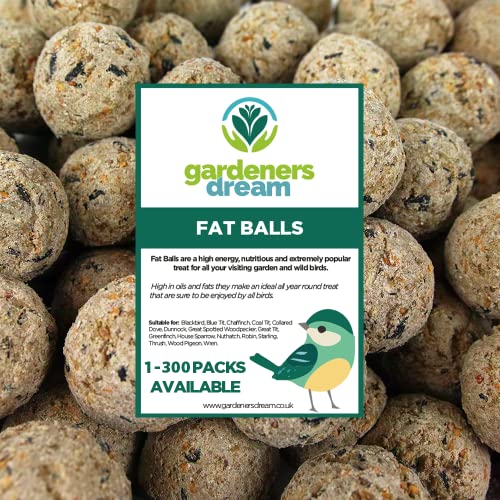 GardenersDream Talg Fettbällchen - Reichhaltiges Energiefutter Wilde Garten Vogelfutter GardenersDream Talg Fettbällchen - Reichhaltiges Energiefutter Wilde Garten Vogelfutter von GardenersDream