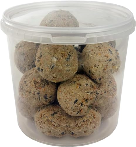 GardenersDream Talg Fettbällchen- Reichhaltiges Energiefutter wildes Gartenfutter GardenersDream Talg Fettbällchen- Reichhaltiges Energiefutter wildes Gartenfutter von GardenersDream