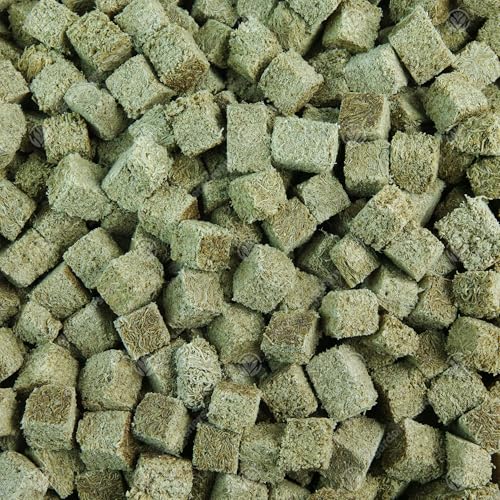 GardenersDream gefriergetrocknetes Tubifex Fischfutter Komplettes Aquarium Wurmwürfel-Snack GardenersDream gefriergetrocknetes Tubifex Fischfutter Komplettes Aquarium Wurmwürfel-Snack von GardenersDream