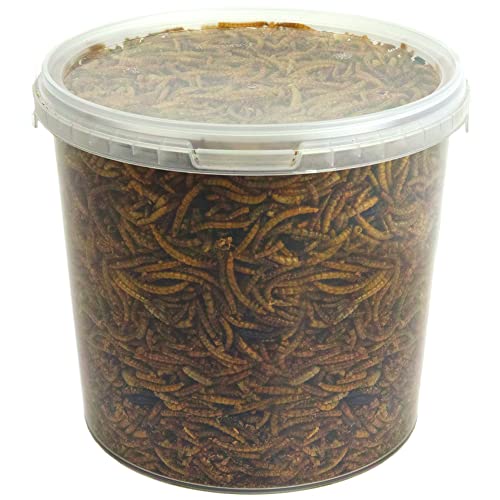 GardenersDream getrocknete Mehlwürmer - Narhafte wildes Garten Vogelfutter (10L) von GardenersDream