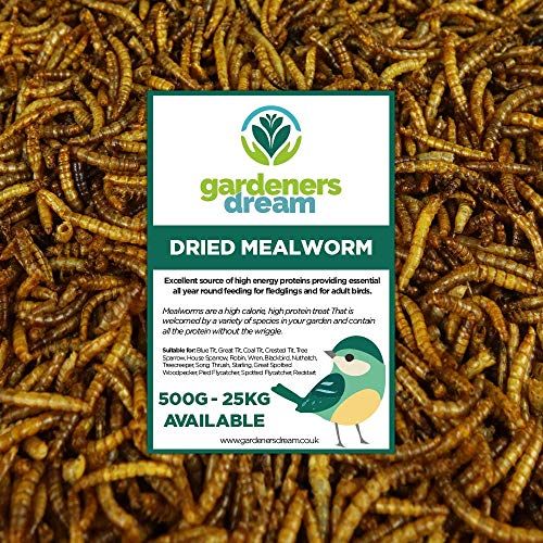 GardenersDream getrocknete Mehlwürmer- Narhaftes wildes Garten Vogelfutter von GardenersDream
